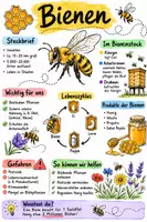 Vorschau - Arbeitsblätter - Lernposter + Arbeitsblatt zum Thema "Bienen" + Onlineübung & MP3 + Mindmap + Infografik - Deckblatt