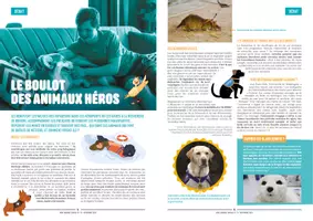 Aperçu - Apprentissages en autonomie - Mon-journal-animal-#21 / Pour les amoureux des animaux - Page 2
