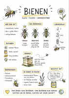 Vorschau - Arbeitsblätter - Dialogtext über Bienen - Deckblatt