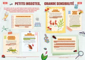 Aperçu - Feuilles d'exercices - Mon-journal-animal-#22 / Le respect des animaux - Page 2
