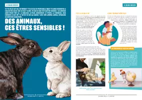 Aperçu - Feuilles d'exercices - Mon-journal-animal-#22 / Le respect des animaux - Page 3