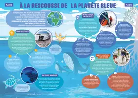 Aperçu - Feuilles d'exercices - Mon-journal-animal-#23 / Respecter les animaux - Page 2