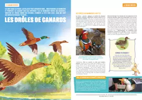 Aperçu - Feuilles d'exercices - Mon-journal-animal-#23 / Respecter les animaux - Page 3