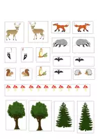 Vorschau - Mal- und Bastelvorlagen - Klaro DaZ und Sachunterricht Rätsel Lies und Male "der Wald" - Seite 2