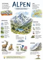 Vorschau - Arbeitsblätter - Lernplakat + AB mit Fragen zum Thema "Alpen" + Lösungsblatt + Mindmap + Infografik - Deckblatt