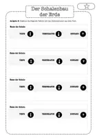 Vorschau - Arbeitsblätter - Schalenbau der Erde Arbeitsblätter Klasse 5–7 – Informationstext & Übungen (3-fach differenziert, Erdkunde) - Seite 3