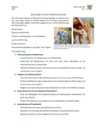 Vorschau - Arbeitsblätter - 04_Der Klettverschluss - Seite 1