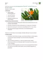 Vorschau - Arbeitsblätter - 05_Das Verschattungssystem Flecotfin - Seite 1