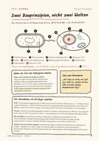 Vorschau - Unterrichtsreihen - Zelltypen — Zellbiologie kompakt 1 (farbig) - Seite 3