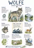 Vorschau - Arbeitsblätter - Lernplakat + Arbeitsblatt "Wolf" + Onlineübung & MP3 + Mindmap + Infografik - Deckblatt
