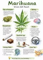 Vorschau - Arbeitsblätter - Lernposter + Arbeitsblätter zum Thema "Was ist Marihuana?" + Lösung & MP3 + Mindmap + Infografik - Deckblatt