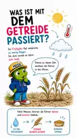 Vorschau - Bildkarten - QUAPPIZ Kindernews, Wochenausgabe vom 20.08.2026 - Seite 2