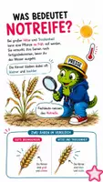 Vorschau - Bildkarten - QUAPPIZ Kindernews, Wochenausgabe vom 20.08.2026 - Seite 3