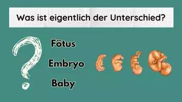Vorschau - Arbeitsblätter - Neues Leben inkl Lösungen - Körper Liebe Respekt Teil 5 - Biologie - Seite 1