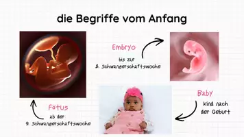 Vorschau - Arbeitsblätter - Neues Leben inkl Lösungen - Körper Liebe Respekt Teil 5 - Biologie - Seite 3