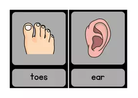 Vorschau - Bildkarten - Wortkarten "bodyparts" - Seite 2
