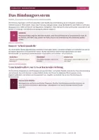 Vorschau - Arbeitsblätter - Bindungsstile in Beziehungen | Bindungstheorie, Bowlby, Psychologie - Seite 2