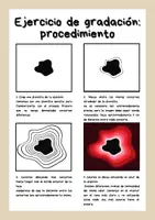 Vista previa - Manualidades / Dibujos para colorear - Ejercicios de gradación - Reino animal - página 2