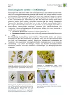 Vorschau - Arbeitsblätter - 08_Die Kieselalge als biologisches Vorbild - Seite 1