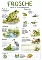 Vorschau - Arbeitsblätter - Lernposter + Arbeitsblätter zum Thema "Frosch" + Lösung & MP3 + Mindmap + Infografik - Deckblatt