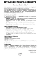 anteprima - Programmi scolastici / Materiali per docenti - End of Lesson Routine 3 - Make a Sentence - Pagina 1