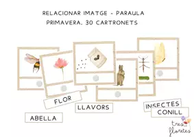 Vista previa - Tarjetas / Manipulativos - RELACIONAR IMATGE-PARAULA (PRIMAVERA) - página 1