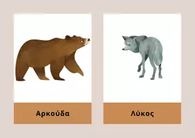 Προεπισκόπηση - Πλάνο μαθήματος / Υλικό για τον εκπαιδευτικό - ζώα του δάσους κάρτες - Σελίδα 3