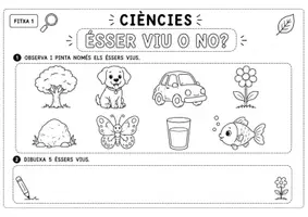 Vista previa - Hojas de trabajo - PACK DE CIÈNCIES I5 20 FITXES PER DESCOBRIR I EXPERIMENTAR - página 1