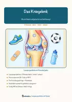 Vorschau - Arbeitsblätter - Das Kniegelenk – Lesespurgeschichte mit Rätselaufgaben (Klasse 8) - Seite 1