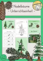Vorschau - Stundenentwürfe - Nadelbäume Unterrichtseinheit - Deckblatt