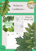 Vorschau - Arbeitsblätter - Laubbäume Blätter Herbarium - Deckblatt
