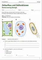 Vorschau - Arbeitsblätter - Biologie Basisscreening Bundle Klasse 9–10 - Seite 1