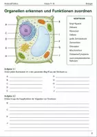 Vorschau - Arbeitsblätter - Biologie Basisscreening Bundle Klasse 9–10 - Seite 3