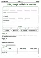 Vorschau - Arbeitsblätter - Fotosynthese & Zellatmung Basisscreening Klasse 9–10 - Seite 2