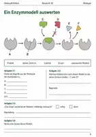 Vorschau - Arbeitsblätter - Enzyme und Stoffwechsel Basisscreening Klasse 9–10 - Seite 2