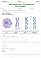 Vorschau - Arbeitsblätter - DNA Gene Chromosomen Basisscreening Klasse 9–10 - Deckblatt