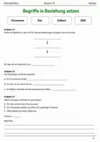 Vorschau - Arbeitsblätter - DNA Gene Chromosomen Basisscreening Klasse 9–10 - Seite 2