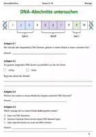 Vorschau - Arbeitsblätter - DNA Gene Chromosomen Basisscreening Klasse 9–10 - Seite 3