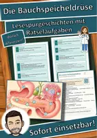 Vorschau - Arbeitsblätter - Die Bauchspeicheldrüse – Lesespurgeschichte mit Rätselaufgaben (Klasse 8) - Deckblatt