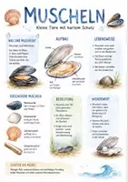 Vorschau - Arbeitsblätter - Lernposter + AB mit Fragen zum Thema "Muscheln" + Lösungsblatt + Mindmap + Infografik - Deckblatt
