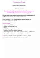 Vorschau - Anderer Materialtyp - Glücksbringer fürs neue Schuljahr Biene - Seite 2
