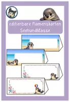 Vorschau - Präsentationen/Tafelbilder - editierbare Namenskarten Seehundklasse #Klassentier - Deckblatt