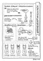 Vorschau - Arbeitsblätter - Motoren: Dampfmaschine, Ottomotor, Dieselmotor, Dampfturbine und Gasturbine - Sketchnote/Arbeitsblatt/Poster für das Fach Physik - Seite 2