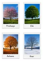 Aperçu - Apprentissages en autonomie - Kit rituel météo et saisons (avec vraies photos en visuel) - Page 2