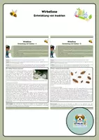 Vorschau - Arbeitsblätter - vollständige und unvollständige Metamorphose von Insekten - Deckblatt