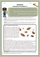 Vorschau - Arbeitsblätter - vollständige und unvollständige Metamorphose von Insekten - Seite 3