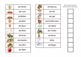 Vorschau - Fördermaterial/Inklusion - Wortschatzkärtchen Herbst und Halloween - Seite 3