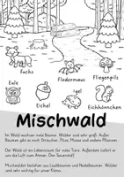 Vorschau - Poster - Waldtiere Plakat Klasse 1 & 2 - Seite 2