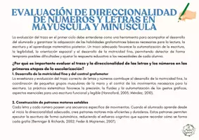Vista previa - Refuerzo / NEE / Materiales de apoyo - REGISTRO EVALUACIÓN GRAFOMOTRICIDAD LETRAS Y NÚMEROS - página 2