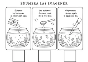 Vista previa - Unidades / Secuencias / Situaciones de Aprendizaje - MINI PROYECTO AQUA DRAGONS - página 1